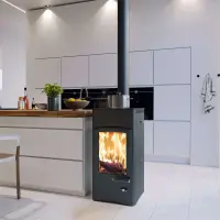 Kaminofen Austroflamm Lucy Cook 6 kW mit Stahlkochplatte